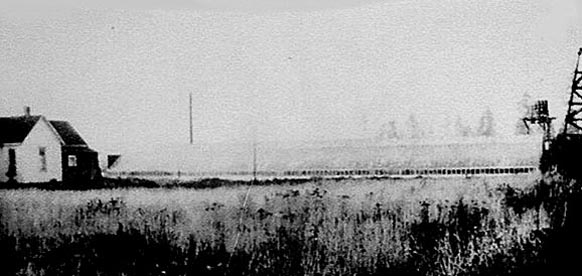 Max Elsner's Greenhouse photo