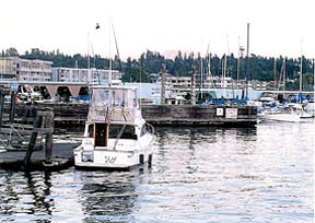 Des Moines Marina photo