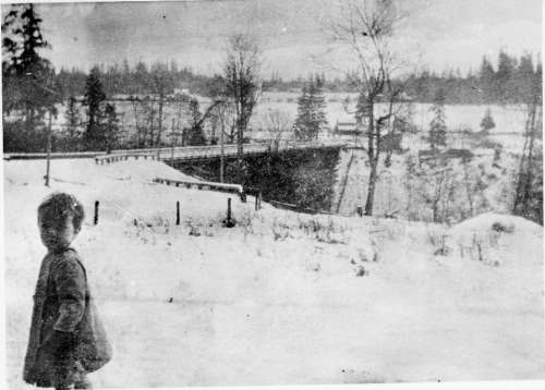 Bridge Over Des Moines Creek