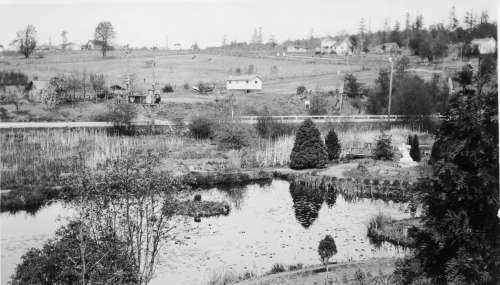 Mrs. Rink's House