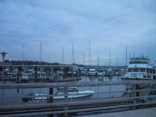 Marina Boats 2003