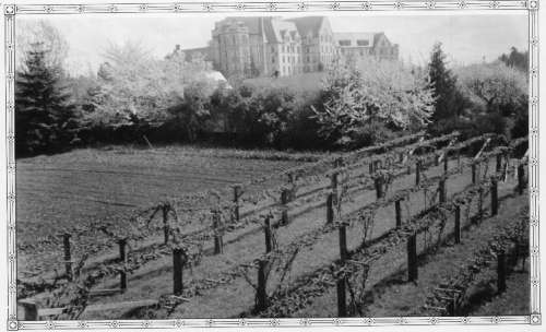 Old photo of Masonic Home from Bauman House
